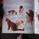 NOUS, LES MAMMIFERES, ATLAS, TEXT IN LIMBA FRANCEZA