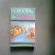 O COBORARE IN INFERN - DORIS LESSING