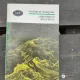 OLANDEZUL ZBURATOR - RICHARD WAGNER