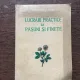 P. Burcea Lucrari practice la pasuni si finete