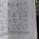 Palinologie , cu aplicatii in geologie