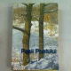 PASII POETULUI-GELLU DORIAN- EMIL IORDACHE