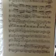 PE PLAIURI ROMANESTI - MIRCEA CHIRIAC (RAPSODIE PENTRU ORCHESTRA POPULARA)