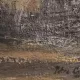 Tablou Marin Petre Constantin - Peisaj (pictura)