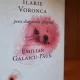 Peste diagonala sangelui - Ilarie Voronca