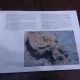 Pesteri din Romania, un tezaur care merita, 2D/3D, album