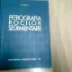 PETROGRAFIA ROCILOR SEDIMENTARE-DAN RADULESCU