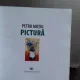 PETRU MOTIU - ALBUM PICTURA