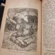Philipp Leopold Martin - Illustrirte Naturgeschichte der Thiere