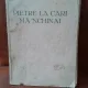 Pietre la care ma'nchinai - Traian Chelariu  cu dedicatia autorului