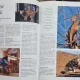 Pisici. Ghid complet - Claire Bessant
