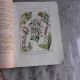 PLANTELE MEDICINALE - IOAN ROVENTA