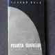 POARTA SOARELUI - TEODOR BALS  (CU DEDICATIA AUTORULUI PENTRU POETUL VASILE ZAMFIR)
