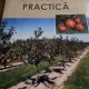 POMICULTURA PRACTICA de CEPOIU NICOLAE...SPITA VALENTIN , 2008 EDITURA CERES ; 195 PAGINI Pret 99 de lei