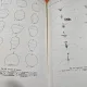 Pomicultura si Pomologie - Fl. Lupescu, I. Militiu (cu dedicatia lui Fl. Lupescu)