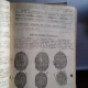 POMOLOGIE - I. DIMOFTE
