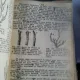 POMOLOGIE - I. DIMOFTE