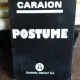 POSTUME - ION CARAION