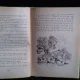 POVESTIRI - HANS CHRISTIAN ANDERSEN