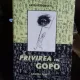 PRIVIREA LUI GOPO - GRID MODORCEA