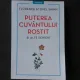 PUTEREA CUVANTULUI ROSTIT SI ALTE SCRIERI - FLORENCE SCOVEL SHINN