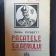 Radu Rosetti - Pacatele Sulgeriului