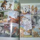 RAHAN NR. 38/2011 - REGELE MAIMUTELOR