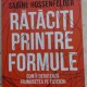 Rataciti printre formule. Cum ii deruteaza frumusetea pe fizicieni - Sabine Hossenfelder