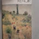 Renoir - Mihai Horga