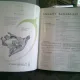 REVISTA AIRCRAFT ENGINEERING - 12 NUMERE 1961