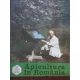 REVISTA APICULTURA IN ROMANIA NR.4/1979
