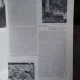 REVISTA ARTA PLASTICA NR.1/1961