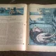 REVISTA LUMEA COPIILOR NR.7 ANUL I/1922