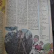 REVISTA LUMINITA NR. 11/1985