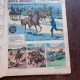 REVISTA PIF NR.20