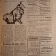 Revista Realitatea Ilustrata Anul VII Nr.331,1 Iunie 1933 - Pe coperta Tata si Fiul,Suveranul arata Voevodului Mihai Transeele construite de Regimentul 2 Pionieri