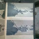 REVISTA SIGNAL, NR. 15 /1942, EDITIE IN LIMBA ROMANA