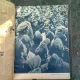 REVISTA SIGNAL, NR. 23/24,1943, EDITIE IN LIMBA ROMANA,NUMAR DUBLU