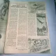 REVISTA STADION NR.17/1967