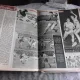 REVISTA STADION NR.6/1958