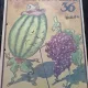 Revista Universul Copiilor nr.36