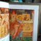 ROMANIA PAMANT AL ICOANEI - PETRE BARON