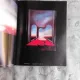 RUXANDRA PAPA - PICTURA ALBUM