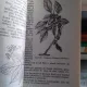 SA CUNOASTEM ARBORII SI ARBUSTII - IOAN C. VOICULESCU