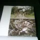 SCRISOARE CATRE UN TANAR ARHITECT - ALEXANDROS N. TOMBAZIS
