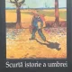 Scurta istorie a umbrei - Victor I. Stoichita