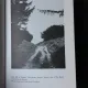 SHRINES OF PSYCHIC POWER - FLORENCE E. PETTIT  (CARTE IN LIMBA ENGLEZA)