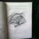 SISTEM AORTIC SUPERIOR - DORIN DUMITRESCU