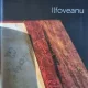 SORIN ILFOVEANU - DESENE (cu dedicatie de la autor)