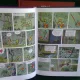 SPIROU FANTASIO - A. FRANQUIN,BANDA DESENATA